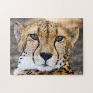 Wildcat Cheetah Leopard Wildlife Nature Jigsaw Puzzle