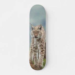 Wildcat Skateboard