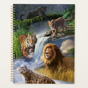 Wildcats Planner