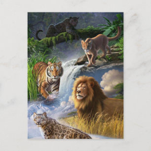 Wildcats Postcard