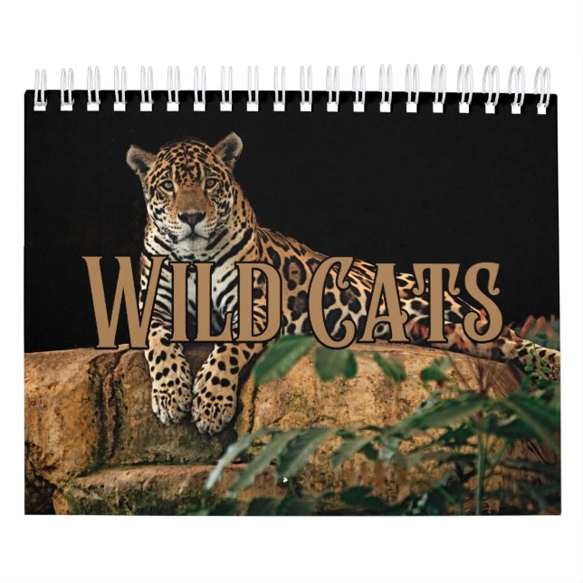Wildcats Showcase Collection Wall Calendrier (Protection)