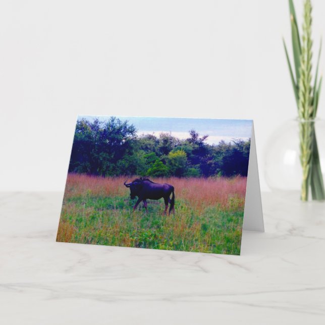 wildebeest card (Front)