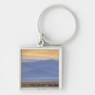 Wildebeest during migration, Connochaetes Keychain