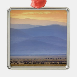 Wildebeest during migration, Connochaetes Metal Ornament