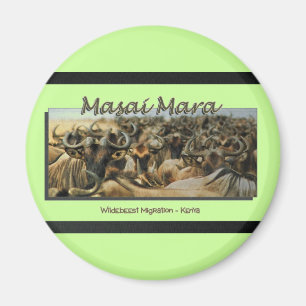 Wildebeest / Gnu migration, safari magnets