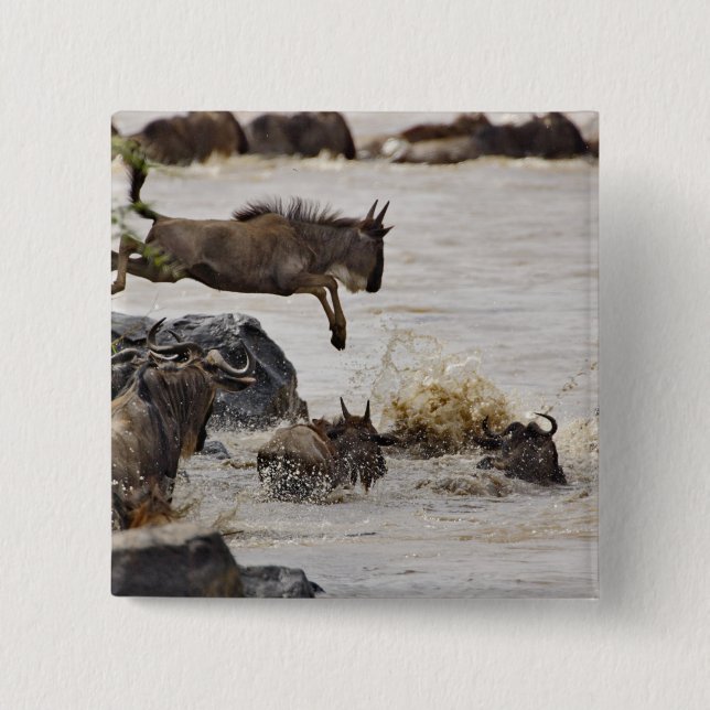 Wildebeest jumping into Mara River 2 Inch Square Button (Front)