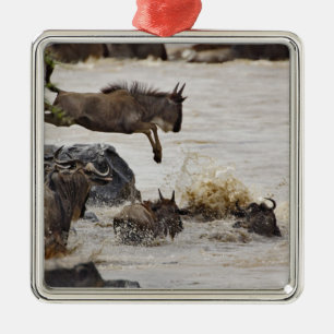 Wildebeest jumping into Mara River Metal Ornament