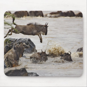 Wildebeest jumping into Mara River Mouse Pad