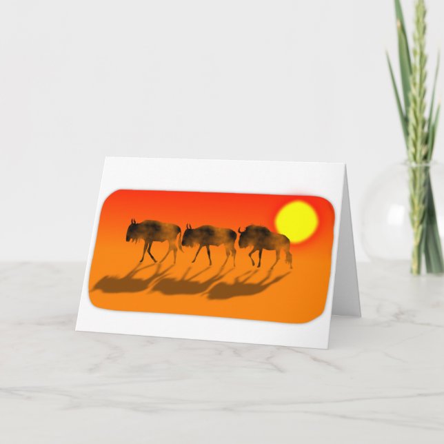 Wildebeests in the sunset  Birthday Card (Front)