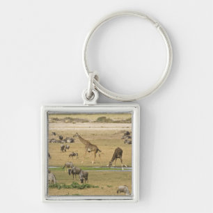 Wildebeests, Zebras and Giraffes Keychain