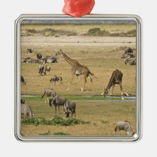 Wildebeests, Zebras and Giraffes Metal Ornament