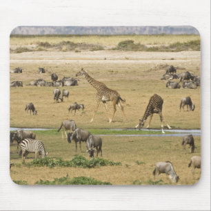 Wildebeests, Zebras and Giraffes Mouse Pad