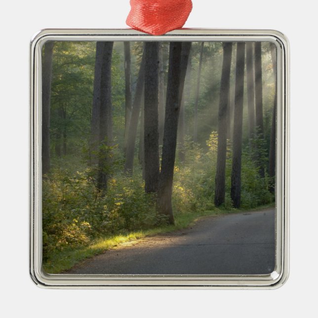 Wilderness Drive, Itasca State Park, Metal Ornament (Front)