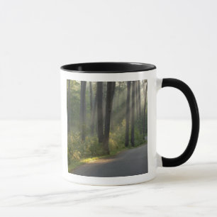 Wilderness Drive, Itasca State Park, Mug