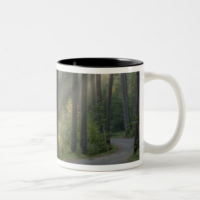 Wilderness Drive, Itasca State Park, Two-Tone Coffee Mug (Right)