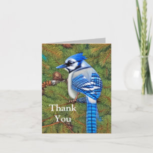 Wilderness Evergreen Blue Jay Thank You Card