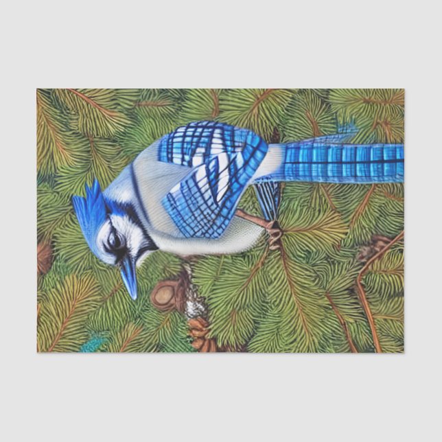 Wilderness Evergreen Blue Jay Tissue Paper (Front)