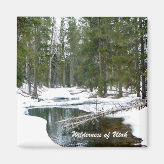 Wilderness of Utah Magnet