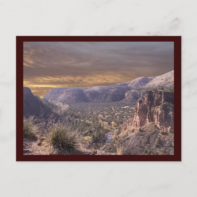 Wilderness Postcard (Front)