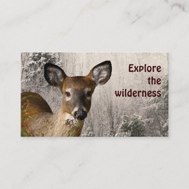 Wilderness Tours Business Card (Front)