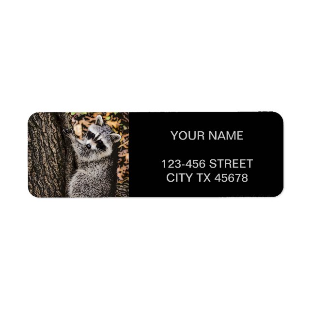 Wilderness Wild Raccoon (Front)