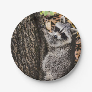 Wilderness Wild Raccoon Paper Plate