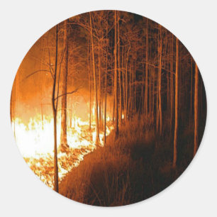 Wildfire Blaze Classic Round Sticker