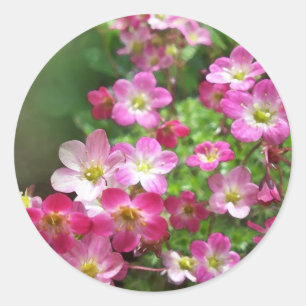 wildflower 1 classic round sticker