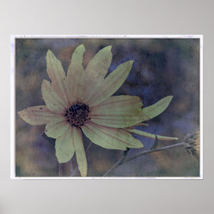 Wildflower and Bee Poster