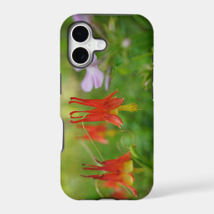 Wildflower Beauty