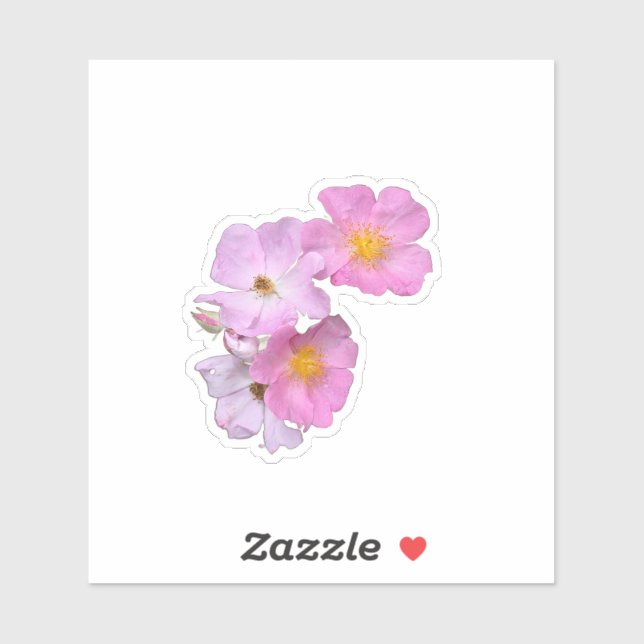 Wildflower Beauty – Nature Photo Sticker (Sheet)