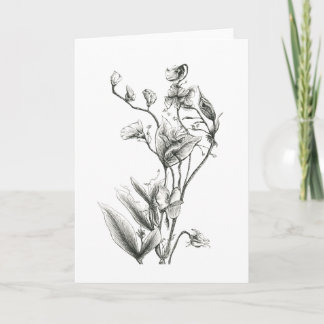 Wildflower Botanical Illustration Art Card