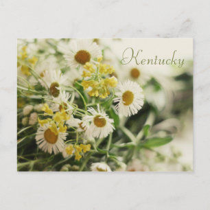 Wildflower Bouquet by JerseyFawn Postcard