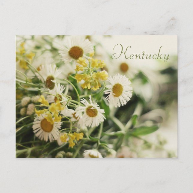 Wildflower Bouquet by JerseyFawn Postcard (Front)