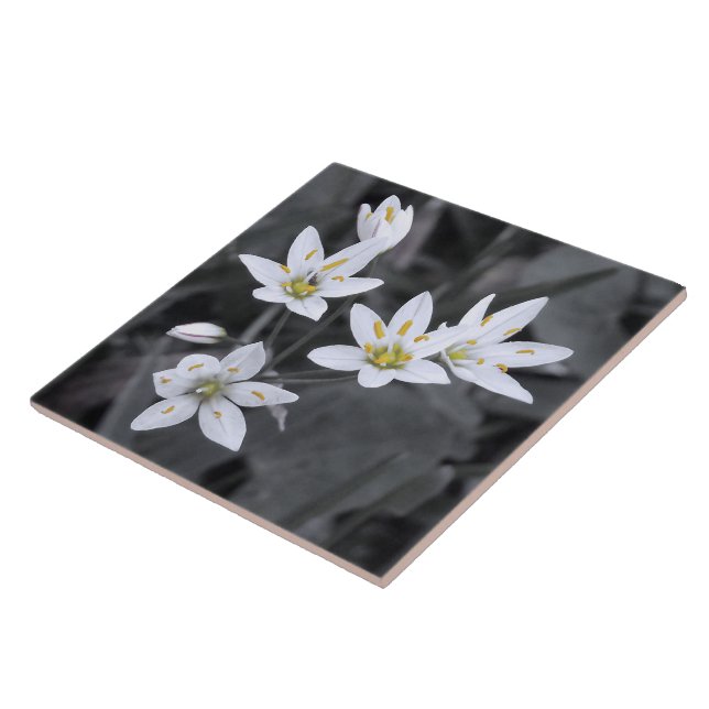 Wildflower Cluster Macro Photo Ceramic Tiles (Side)
