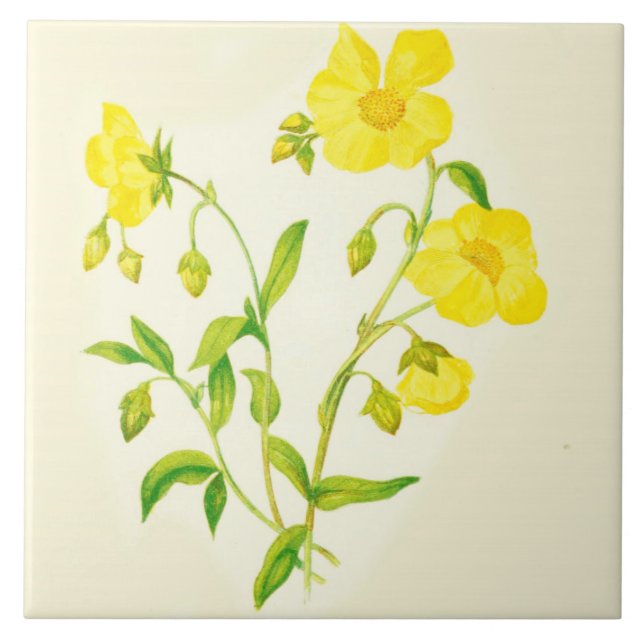 Wildflower Country Kitchen Ceramic Tile Buttercups (Front)