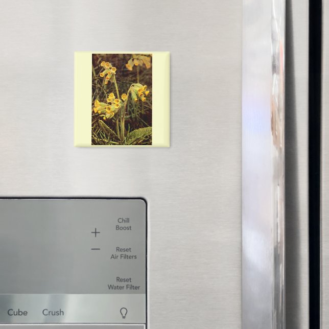 Wildflower: Cowslip Magnet (In Situ (Fridge))