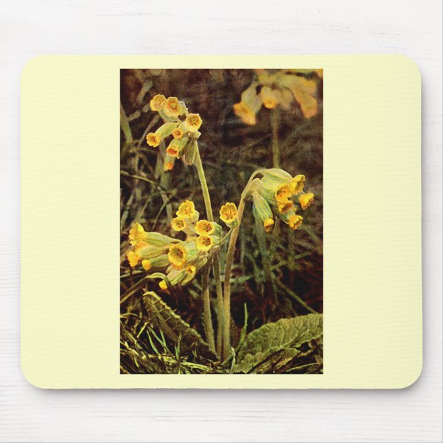 Wildflower: Cowslip Mouse Pad (Front)