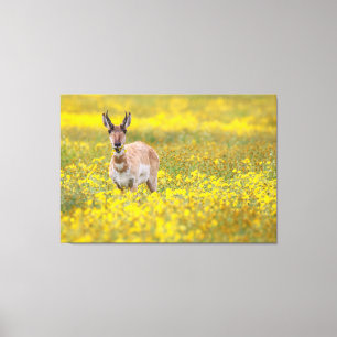 Wildflower Dinner Canvas Print