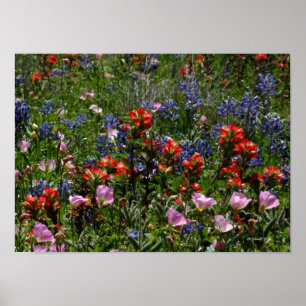 Wildflower Dreams Poster