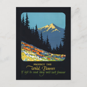 Wildflower earth day environmental deco postcard