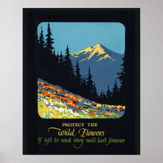 Wildflower earth day environmental deco poster