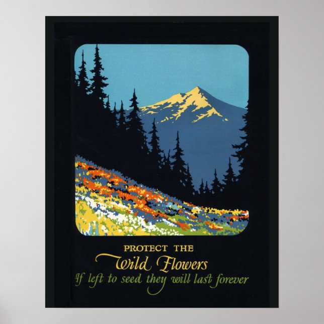 Wildflower earth day environmental deco poster (Front)