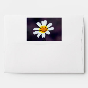 Wildflower Envelope