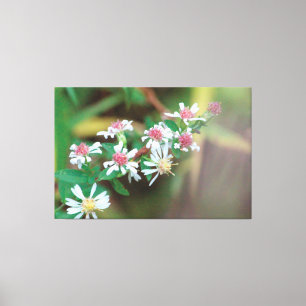 Wildflower Extra Large Canvas Print