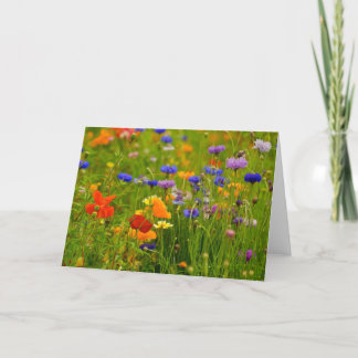 Wildflower Greeting Card