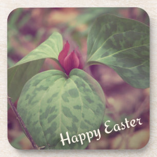 Wildflower Happy Easter Coaster
