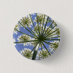Wildflower Hogsweed Flower Button / Badge