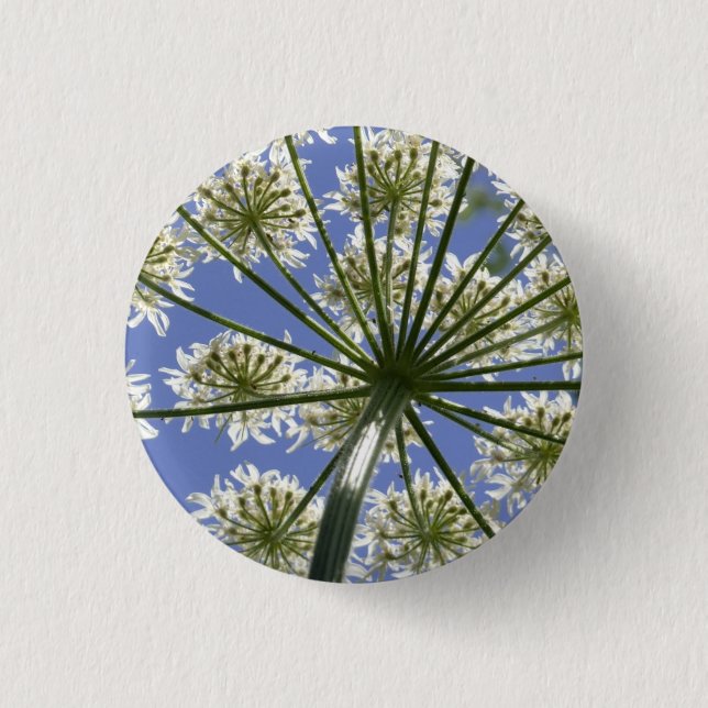 Wildflower Hogsweed Flower Button / Badge (Front)