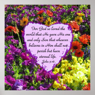 WILDFLOWER JOHN 3:16 PHOTO POSTER